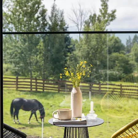 Rychlinowe * Poronin